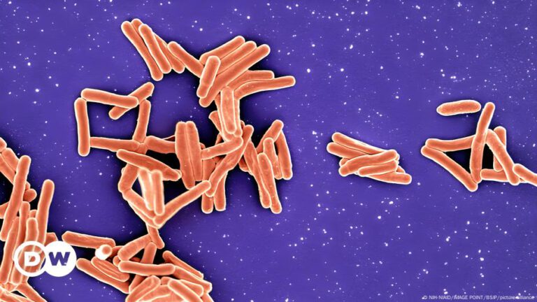 Top 8 der gefährlichsten Bakterien der Welt – DW – 16.11.2024