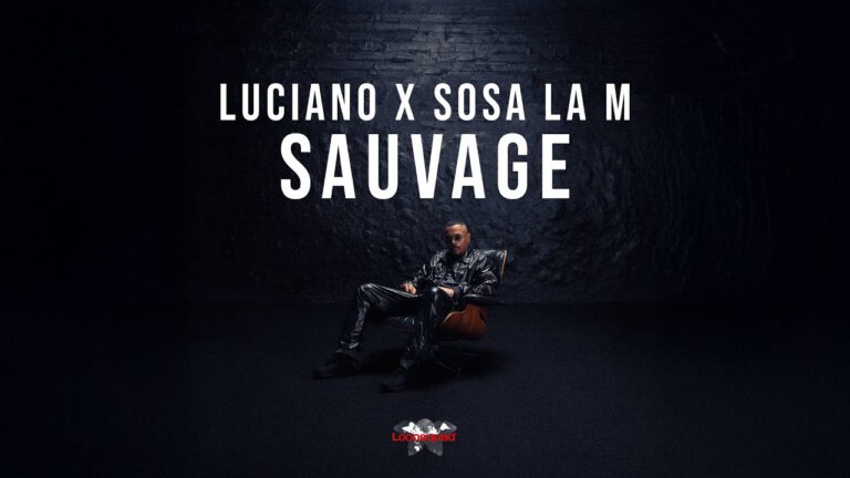 LUCIANO x SOSA LA M – Sauvage Visualizer