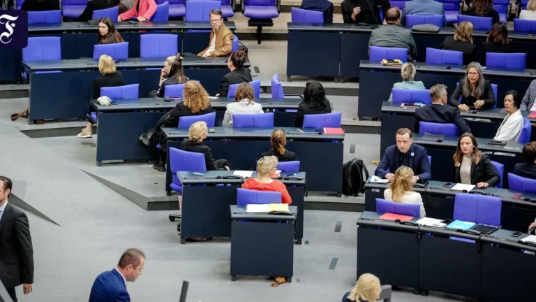 AfD-Eklat im Bundestag während Srebrenica-Debatte