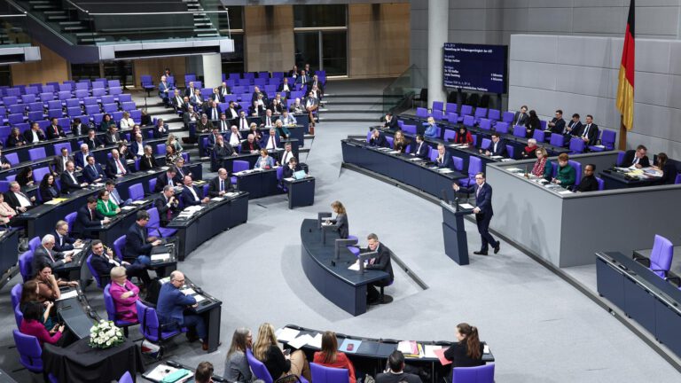 Debatte über die Notwendigkeit eines AfD-Verbotsverfahrens