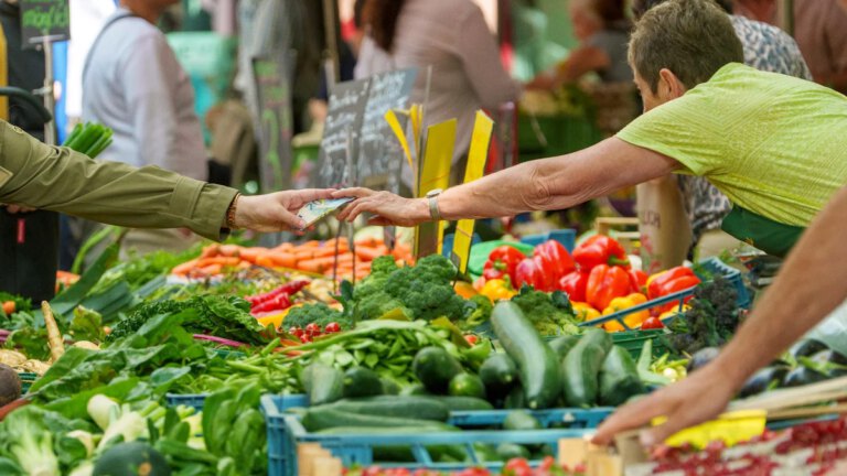 Herkunft unseres Gemüses – Wirtschaftliche Aspekte