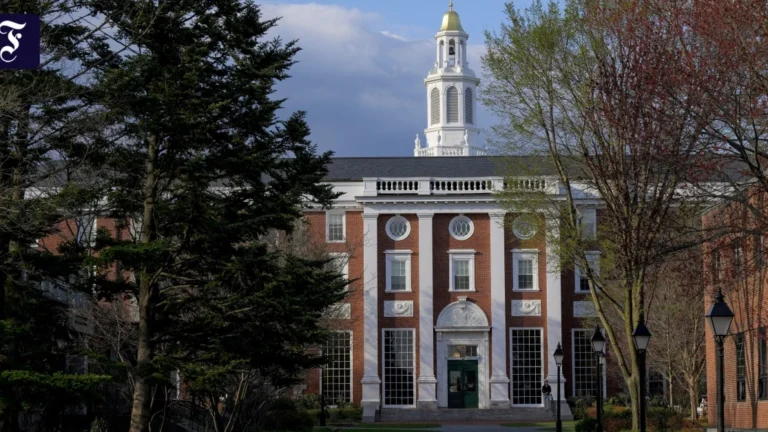 KI verständlich machen: 33 Kurse zu GenAI und KI-Agenten