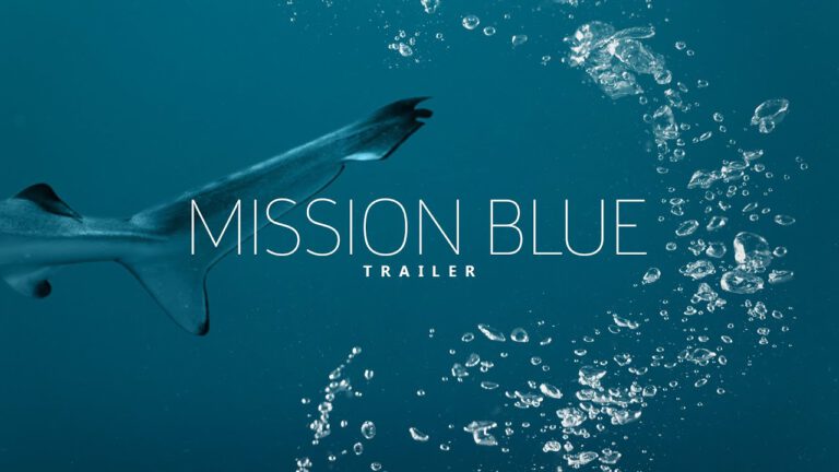 Haibockangriff – Mission Blue Trailer Ergebnis