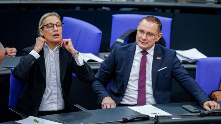 AfD trifft Familienunternehmer: Wirtschaft in der Kritik