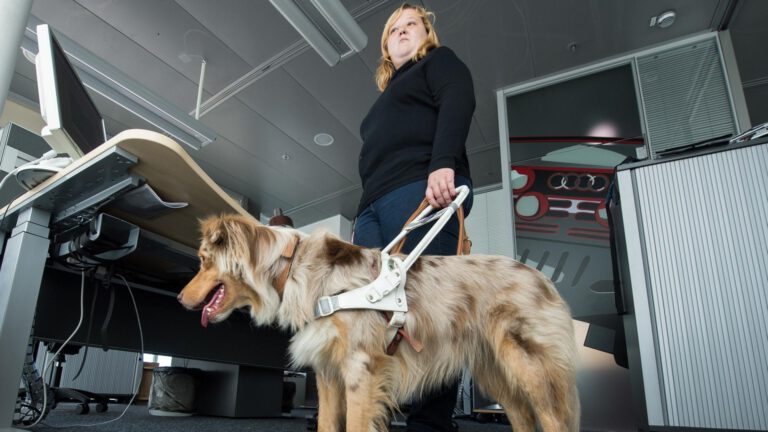 Lage auf dem Arbeitsmarkt für Menschen mit Behinderung verschlechtert sich