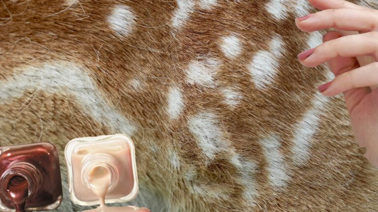 Bambi Nails: Der süßeste Braun-Nageltrend der Saison