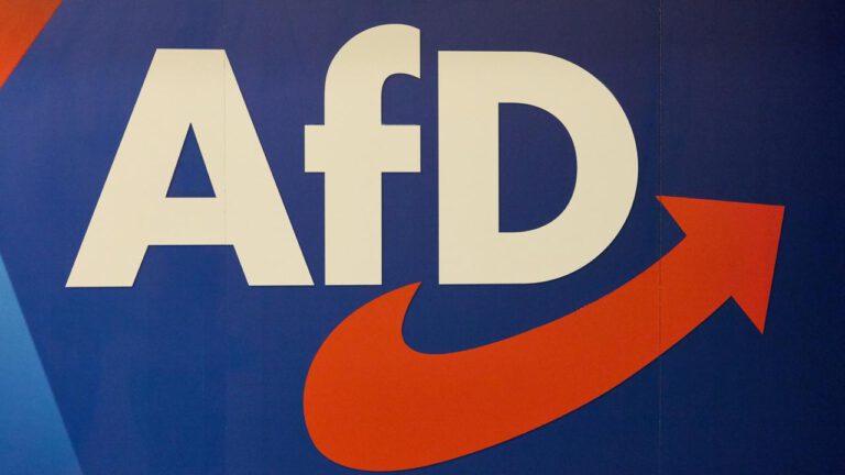 AfD-Annäherung sorgt für Kritik am Familienunternehmer-Verband