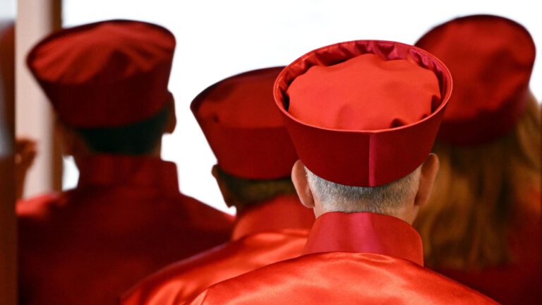 Linke fordert Gespräche mit Union vor Verfassungsrichtern-Wahl