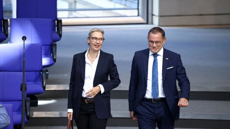 AfD in Deutschland: Politische Kontroversen und Russlandbesuch