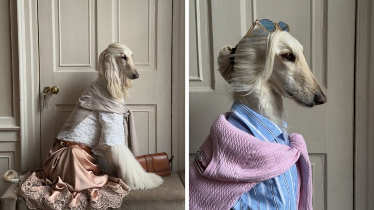 Samantha, die Stilikone im trendigen Fell