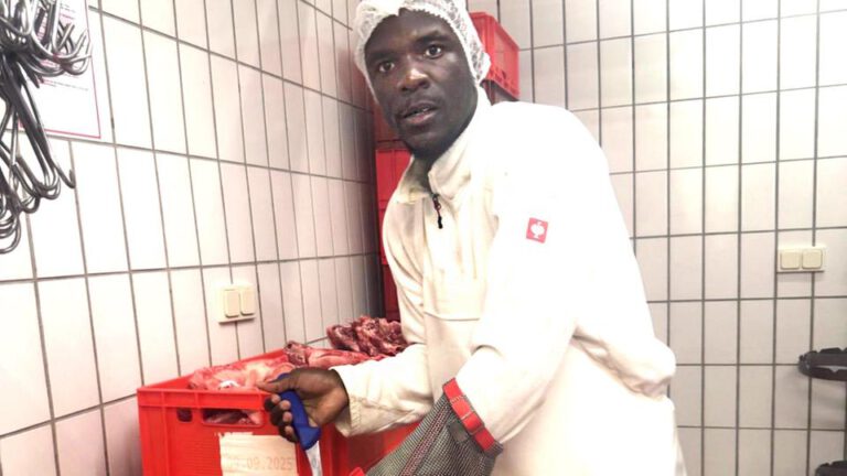 Zuwanderung zur Bekämpfung des Fachkräftemangels stockt