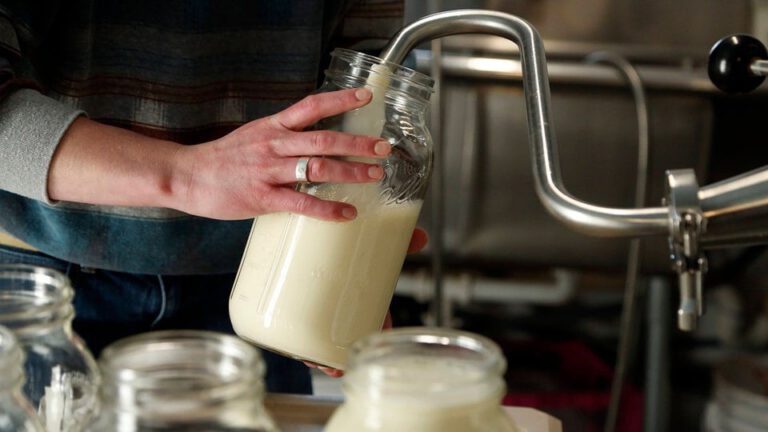 BfR warnt vor unterschätzten Gesundheitsrisiken von Rohmilch