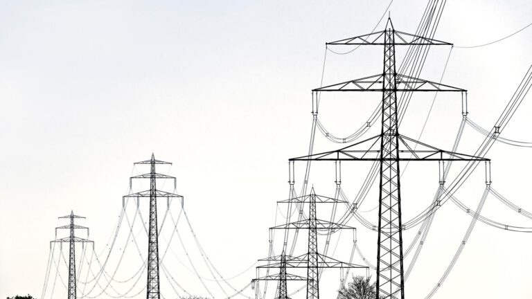 Bundestag beschließt Senkung der Stromsteuer für Firmen