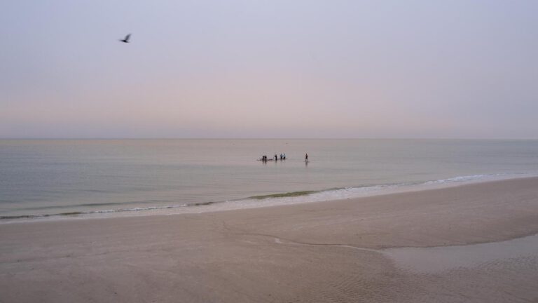 Golf von Mexiko: Trumps Umbenennungserlass im Fokus