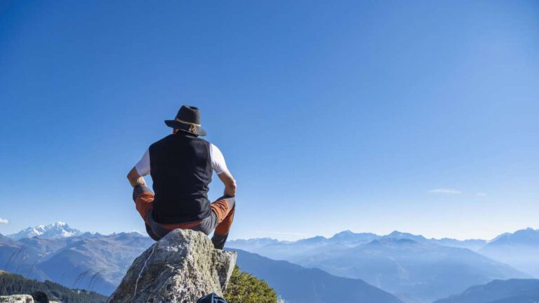 Reformen aus Österreich für Deutschland: Hilfreiche und ungeeignete