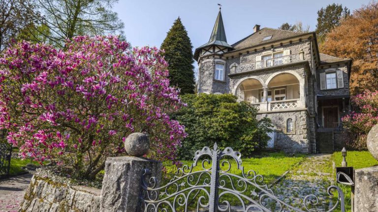 Vermögensungleichheit in Deutschland: Ein Jahrhundert der Unruhe