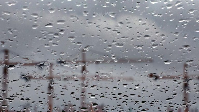 Optimisten in Unternehmen: Eine seltene Gruppe