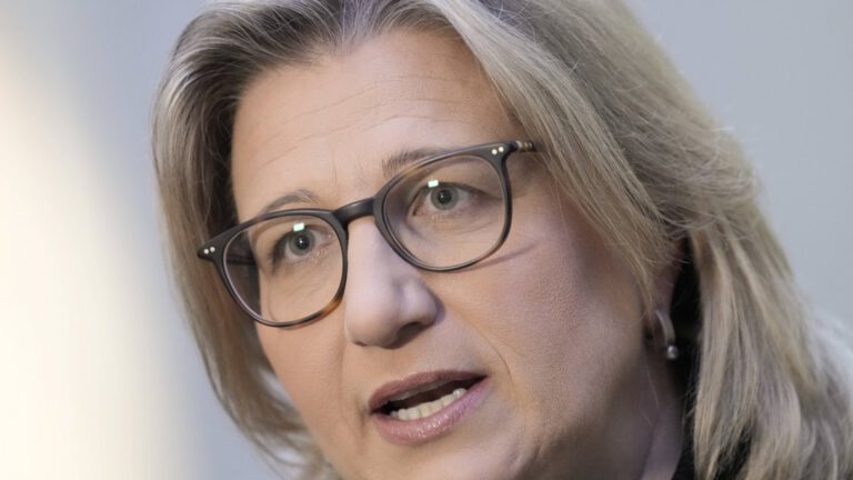 Merz und die Spaltung der demokratischen Mitte