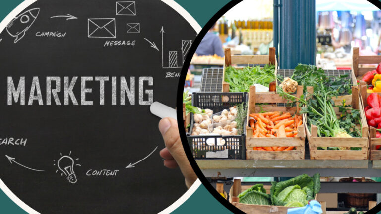 Direktvermarktung und KI-Tools im Zollernalbkreis