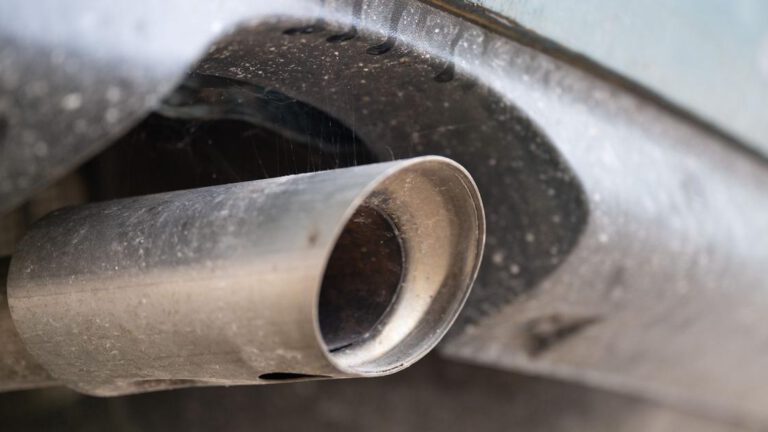 Ökonomen üben scharfe Kritik am Stopp des Verbrenner-Aus