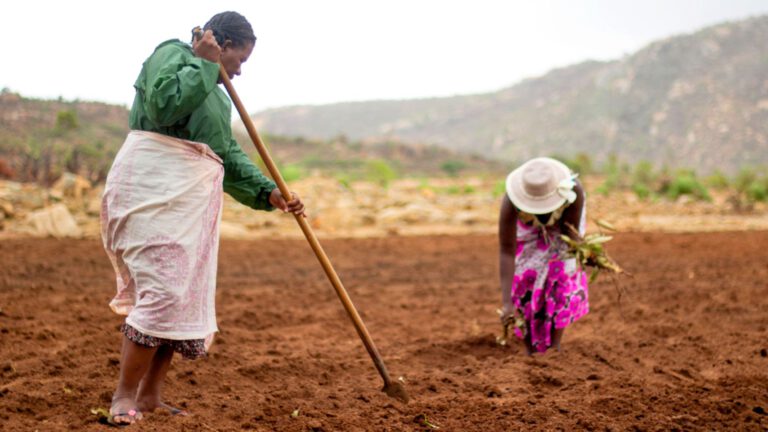 Ernährungssicherung des BMZ