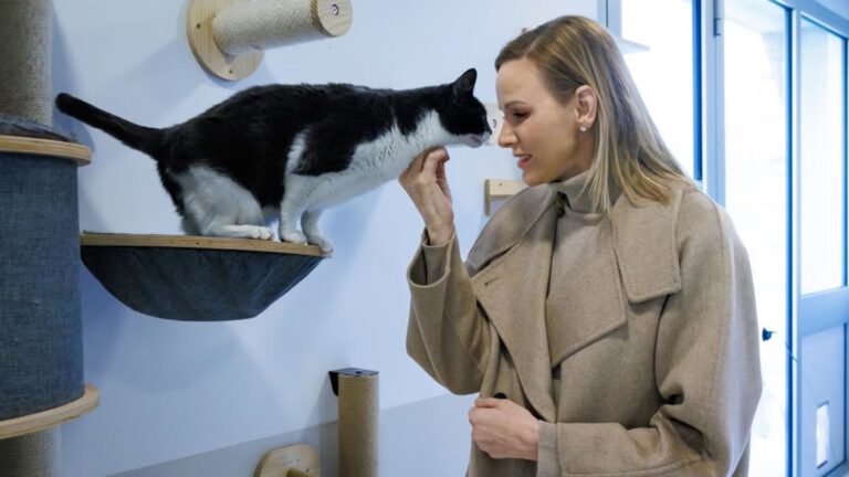 Fürstin Charlène überrascht mit seltener neuer Frisur